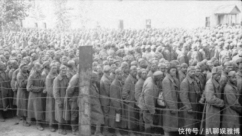 生猛|二战德国太生猛,50万兵力歼灭苏联大军,俘虏已超过60万