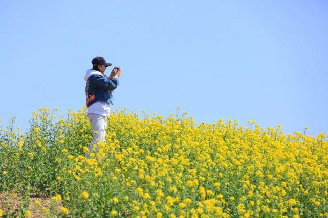 实拍，实拍，4月3日狼牙山万亩花海实拍来啦！