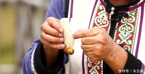 双面|「养生厨房」今日菜品——山珍双面鱼鱼