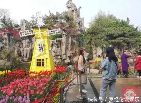 惊艳！郁金香花海、樱花雨，踏青赏花 来“这里”