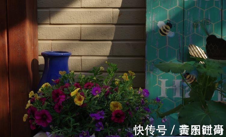 花园|荒废多年的80㎡小院,2年半时间打造成下沉式花园,太漂亮了!