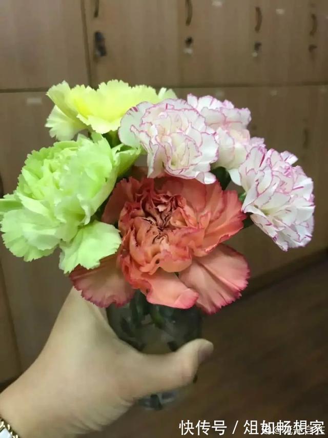 这花爆开50朵，剪几枝送人倍有面子，比买鲜花强多了！