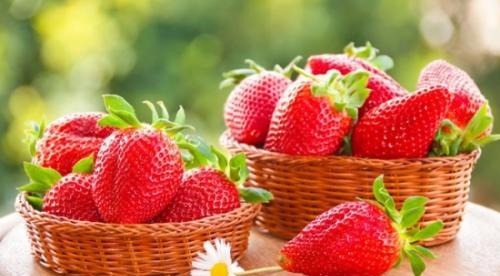 退烧药|宝宝发烧吃6种水果,比吃退烧药有效果,而且对身体还好