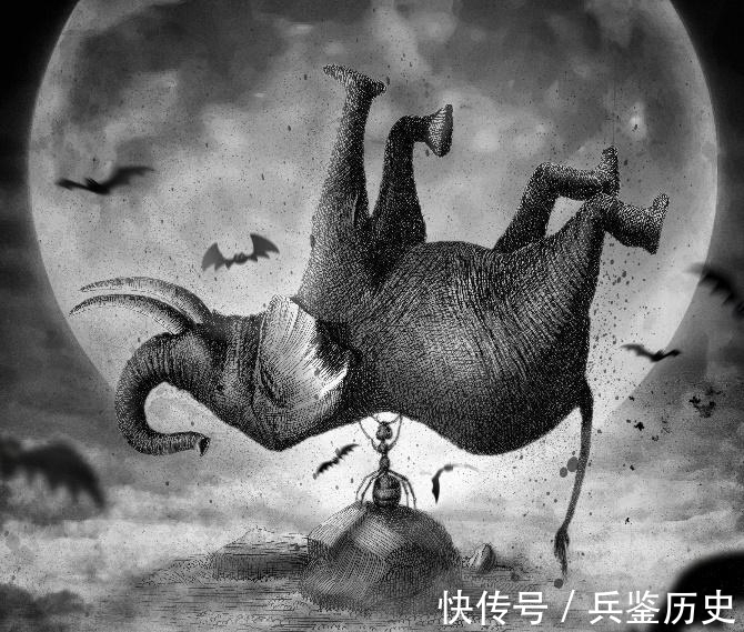 海陆空!动物写作的独特样本:周晓枫全新散文集《幻兽之吻》出版