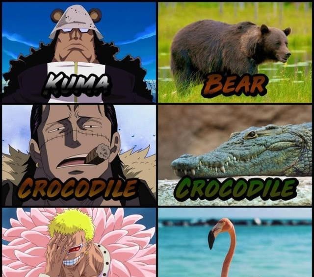 海贼王每个角色都代表一种动物,索隆是猛虎,为何山治是鸭子