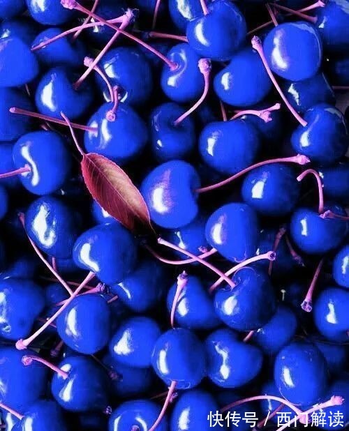 你绝对没见过的奇特的瓜果蔬菜!大开眼界!