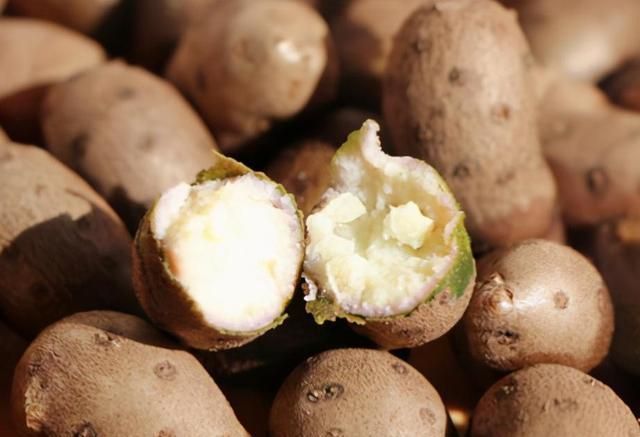 做法|秋后,遇到我必买10斤的果子,便宜还养胃,这做法比糖霜花生好