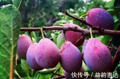 美白|每天可以坚持吃3种食物,排毒瘦身,美白皮肤,越吃越年轻!