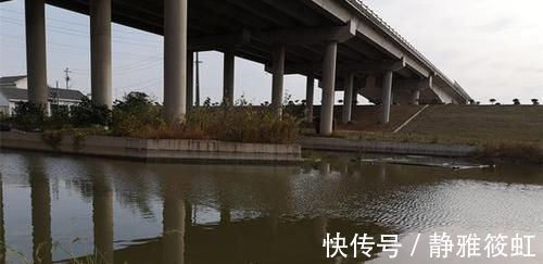 钓法|过了处暑鲫鱼越来越好钓，就用这种钓法，上的都是大鲫鱼，很过瘾