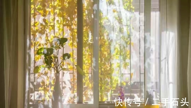 岳母|“为了避免婆媳矛盾,别让我妈照顾你月子了”可以,我有一个条件