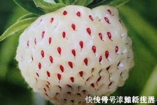 花青素|女人45岁以后,开始冒皱纹,常吃以下三种水果,淡斑去皱、抗衰老