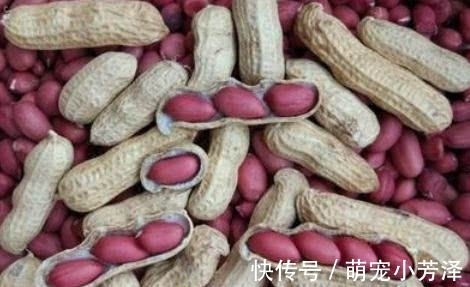 花生|吃货踩了狗屎运的事情,多仁花生不算啥,最后才是中彩票一般的几率!