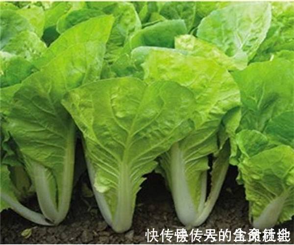 蔬菜|入冬后,3种蔬菜别再买了,不然老人孩子遭殃,早知早受益