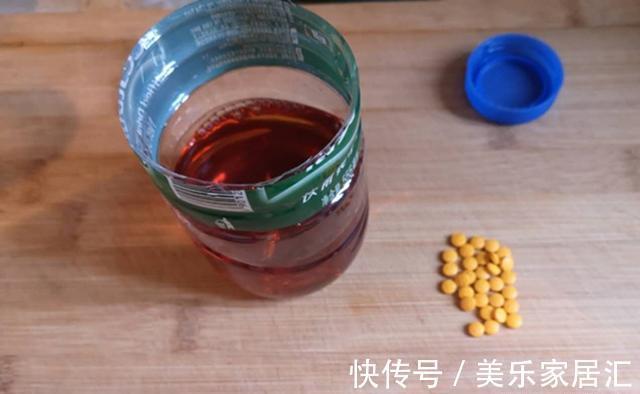 立冬了,到了钓大鲫鱼的时候,分享几个窝料配方,抢鱼快人一步