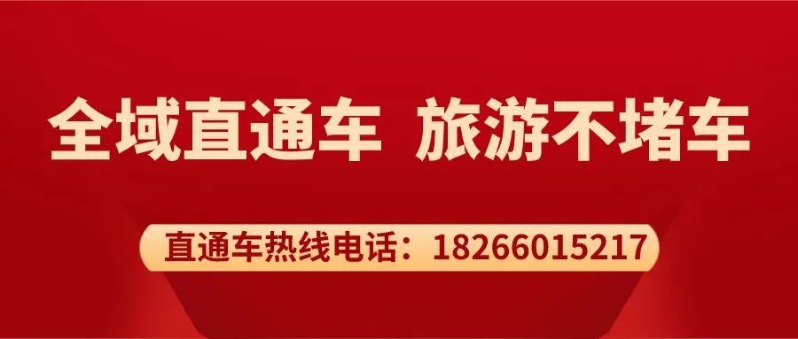  提升|公共文化服务效能再提升丨“细数”阴平这一年的文化足迹