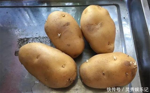 一节山药插水里,疯狂长藤“冒金豆”,赚大了!