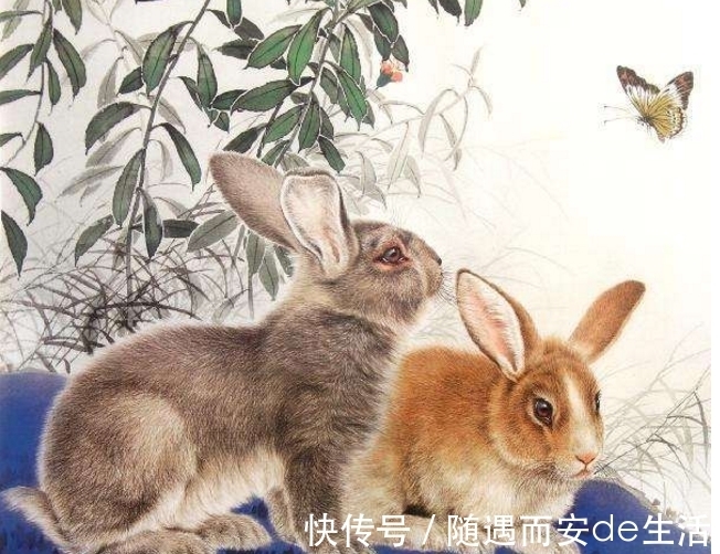 重情重义|兔兔兔: 有喜砸您, 就是明天, 喜鹊进家门, 接住的人十兔九发, 一旺旺三年!