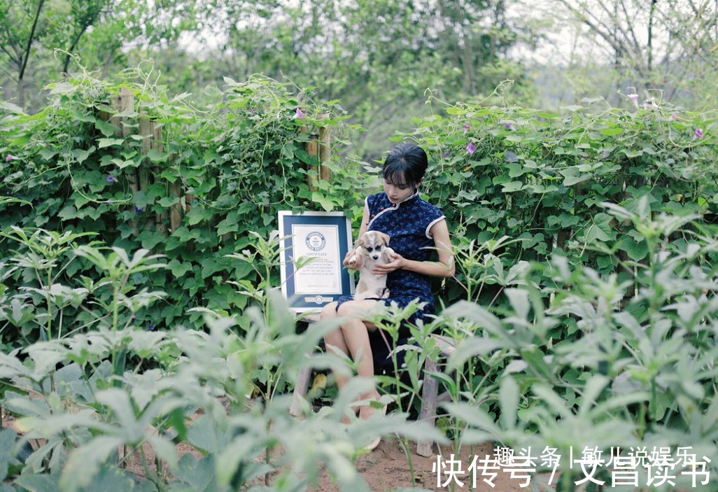 丁真@文化输出才是真顶流!李子柒穿中式长裙,“丁真的世界”让人向往