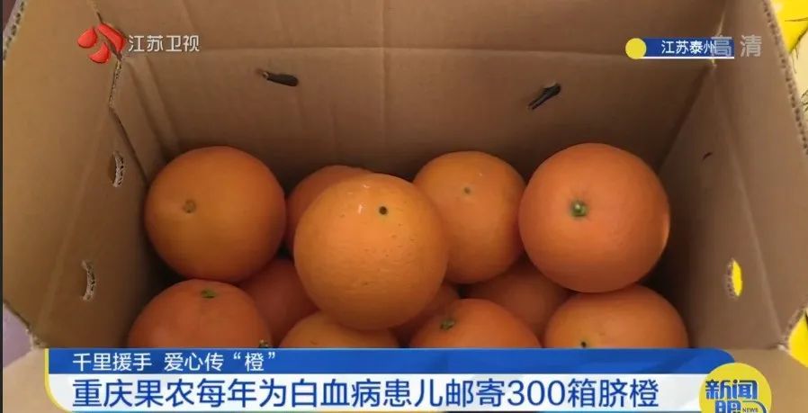 果农|果农每年免费寄300箱脐橙！只因……