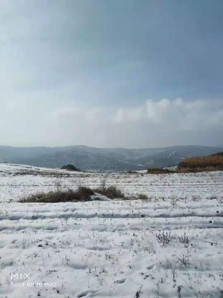 初雪|缑瑞芳‖初雪，那一抹浅忆