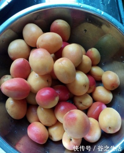 杏子|天热这碱性水果要多吃,一次性买5斤,晒干囤着,随时吃随时取!