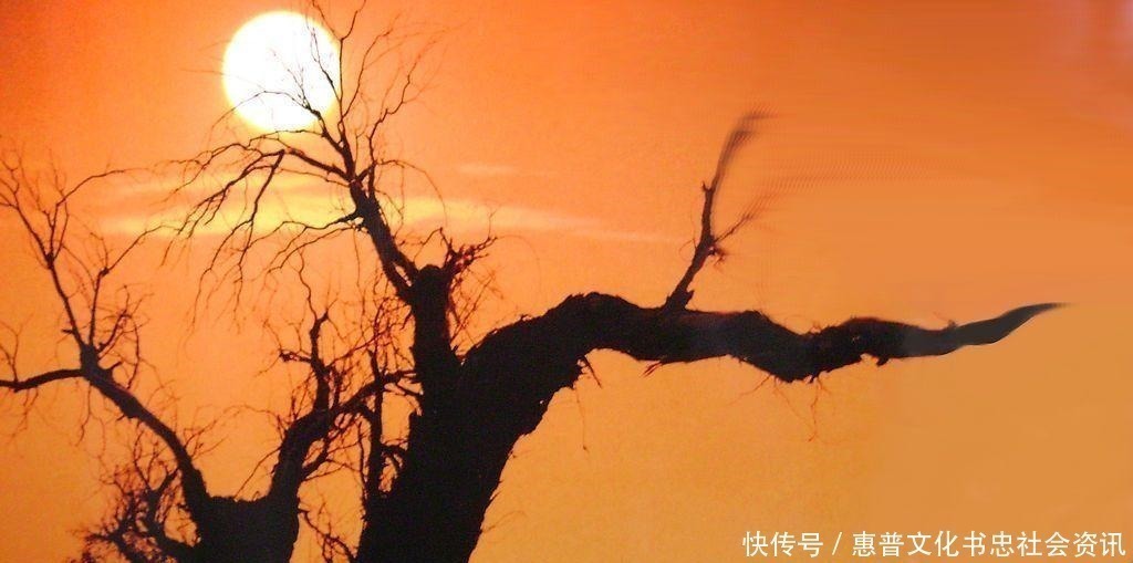 时彦#他是宋代极冷门词人,名字却令人叫绝,一生仅存一首词,惊艳千年