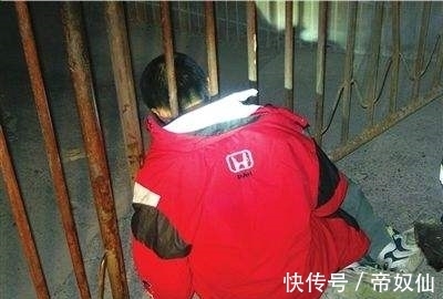 为何脑袋伸到栅栏里回不出来,专家经研究,说:这是穿衣针效应