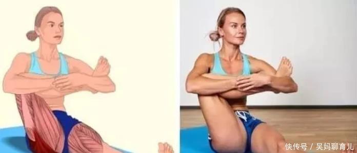 腘绳肌|全身拉筋3D图解，一步到位，在家也能强身健体