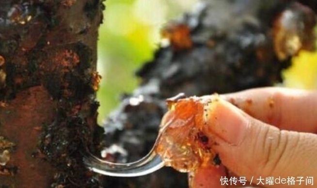 女性不想皱纹爬上脸,不妨多吃此物,皮肤水嫩嫩,更显年轻