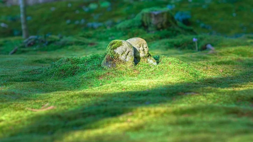 佛陀|一部《金刚经》的正确打开方式,你知道吗?