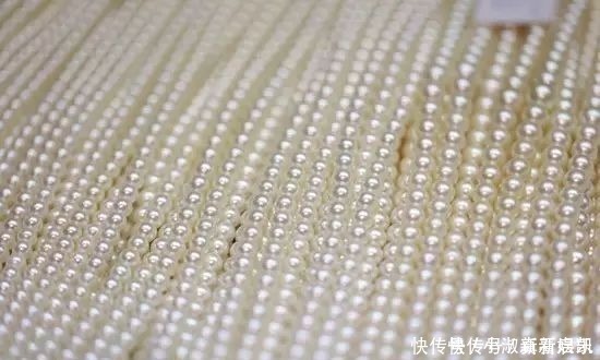 珍珠|亲临MIKIMOTO珠宝基地,揭秘顶级珍珠诞生的背后真相