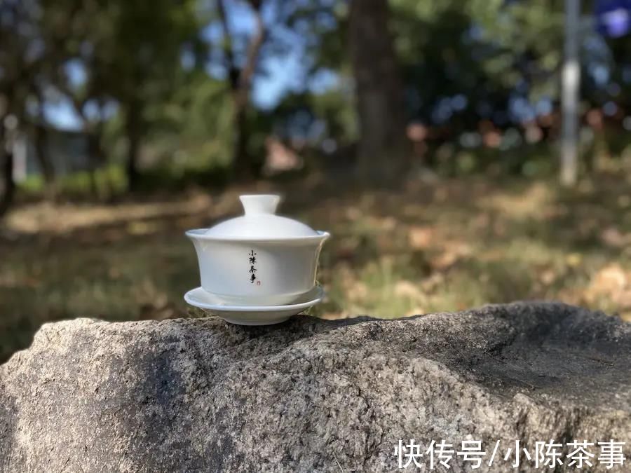 紫砂壶@都是泡茶，紫砂壶与盖碗有什么区别，谁更适合白茶、红茶、岩茶？