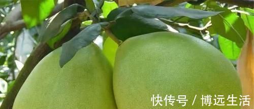 维c|血脂一降，百病消！日常多吃这6种食物，轻轻松松降血脂