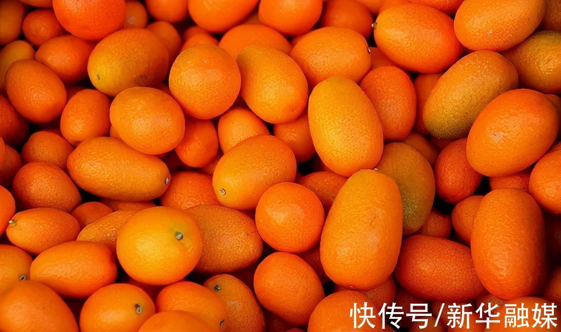 金桔酱|把它蒸熟,只吃一次,缓解咳嗽非常管用!老人小孩都能吃