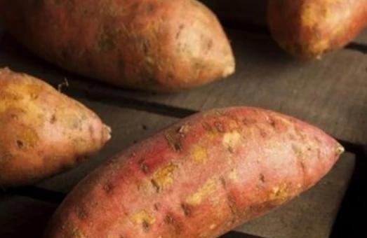 v孕妇在怀孕期间,能不能吃红薯,对身体是有损还是有益