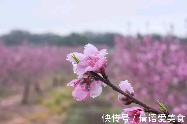 这几个生日尾数的人，无论是什么身份都会特别努力，总有出头之日