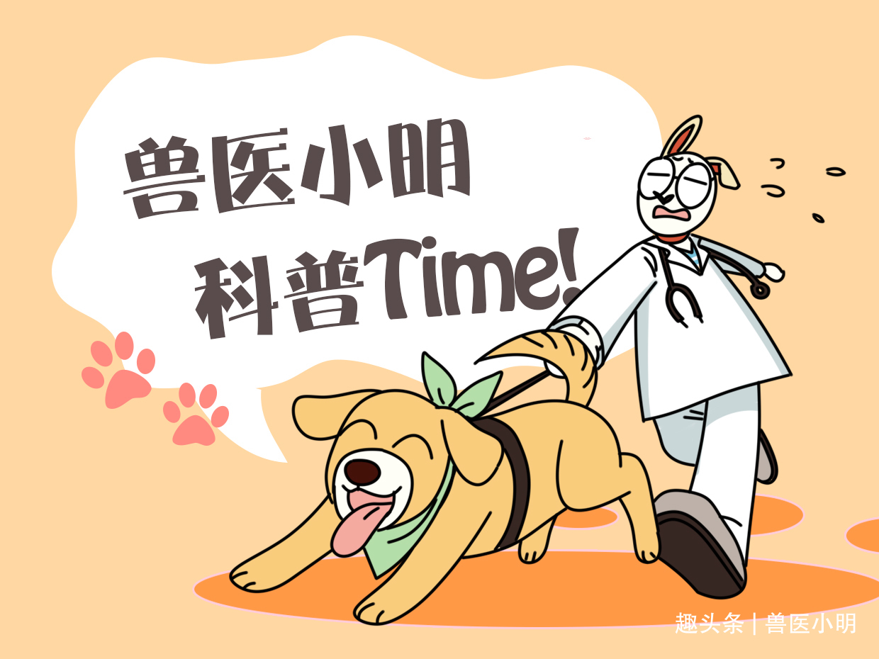 桌子上的花一晚上都蔫巴了，查看监控后不想说啥了真会挑地方呀