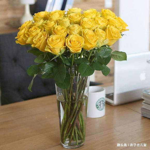 喜欢玫瑰,就养盆“高档玫瑰”金香玉玫瑰,花开金灿灿,格外养眼