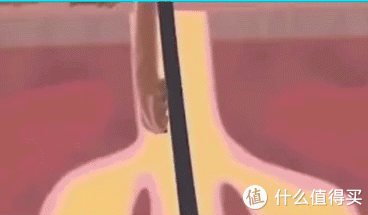 冲牙器|这3种“冷门”家居用品,刚开始“不习惯”,用后却离不开,你用过几个?