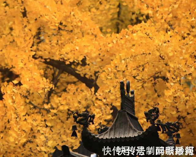 释文珦#诗僧笔下的秋天,不仅有最美的秋色,还有浓浓禅意,令人回味无穷