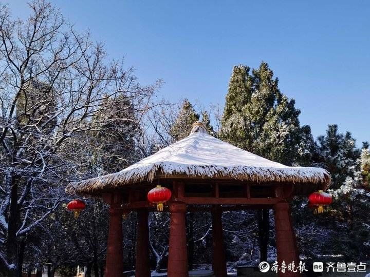 跑马岭|济南南山跑马岭迎来今冬第二场降雪！齐鲁雪乡美似童话