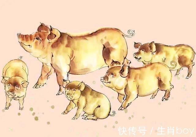 金猴|金猴接福，金猪接财，金鸡接运，2022年再也不过穷日子