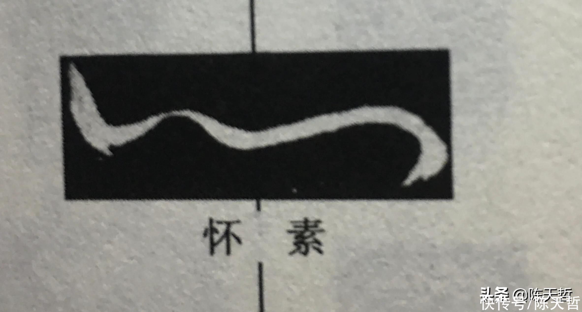 李阳冰!怀素“心”字,极为简单,一笔、二笔还是三笔便成了变化的手段