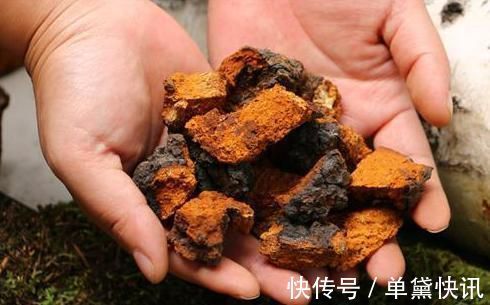 槟榔油|央视列为“一级致癌物”,吃一口,赛喝马桶水3次