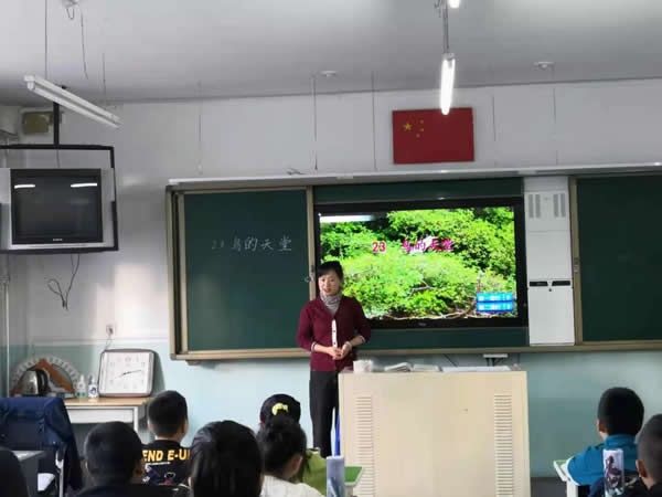 新华小学：以研促教、共同成长（图）