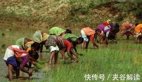 心血管病|以前农村吃咸菜多,为啥却很少得高血压和心血管病?医生告知实情