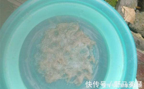 寒冬时节钓鲫鱼,虾肉拉饵有奇效,详细制作步骤在这里