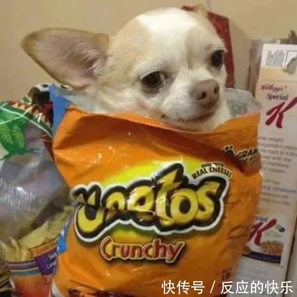 搞怪|可爱搞怪微信头像:快看这里有人还在加班