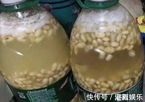 发酵|3种水直接浇花,是毒水,浇下去花卉黄叶、烂根都来了