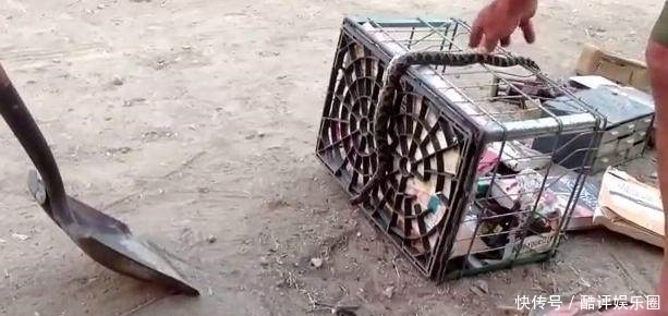 校园化学品贮存分类主张